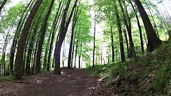 Picture from track Mariánské Lázně - Metternich route