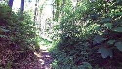 Picture from track Cycle route - for history and folk architecture