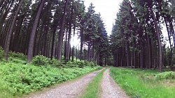 Obrázek z trasy Graselova stezka Nová Bystřice