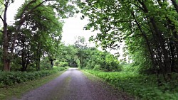 Picture from track Grasel's Trail Nová Bystřice