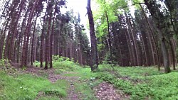 Obrázek z trasy Graselova stezka Nová Bystřice