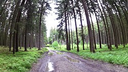 Obrázek z trasy Graselova stezka Nová Bystřice