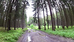 Picture from track Grasel's Trail Nová Bystřice