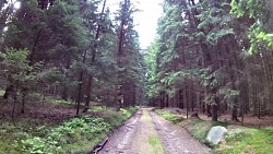 Picture from track Grasel's Trail Nová Bystřice