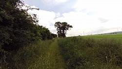 foto van de route Hoogland Dzban - landschap van gouden kalkmergel