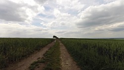 Bilder aus der Strecke Džbánsko –  Landschaft des goldenen Kalksteins