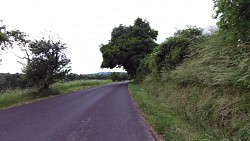 foto van de route Hoogland Dzban - landschap van gouden kalkmergel