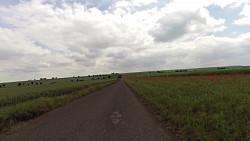 Picture from track Džbánsko - the landscape of golden limestone