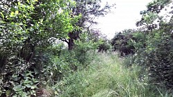 Picture from track Džbánsko - the landscape of golden limestone