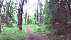 Picture from track A walk through the Jindřišský valley