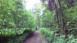 Picture from track A walk through the Jindřišský valley