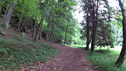 Picture from track A walk through the Jindřišský valley