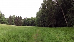 Picture from track A walk through the Jindřišský valley