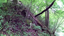 Picture from track A walk through the Jindřišský valley