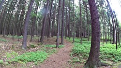 Picture from track A walk through the Jindřišský valley