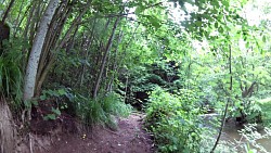 Picture from track A walk through the Jindřišský valley