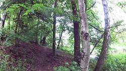 Picture from track A walk through the Jindřišský valley