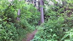 Picture from track A walk through the Jindřišský valley