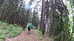 Picture from track A walk through the Jindřišský valley