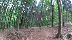 Picture from track A walk through the Jindřišský valley