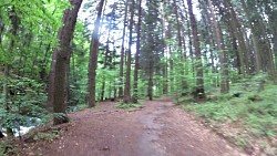 Picture from track A walk through the Jindřišský valley