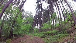 Picture from track A walk through the Jindřišský valley