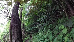 Picture from track A walk through the Jindřišský valley