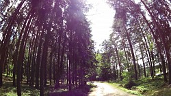 Picture from track Londýn, Paříž, Nový York - in a few hours on a bike