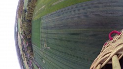 Picture from track Balloon flight from Pardubice to Starkoč