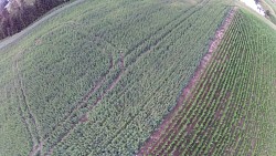 Picture from track Ballooning - Orlické mountain, from Rychnov to Letohrad