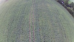 Picture from track Ballooning - Orlické mountain, from Rychnov to Letohrad