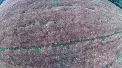 Picture from track Ballooning - Orlické mountain, from Rychnov to Letohrad