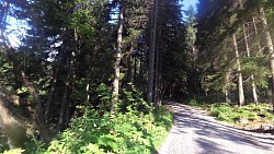 Picture from track Route no. 21: Pec pod Sněžkou – Cottage Betyna – Cottage in Obří dů – Cottage under Sněžka - Chapel