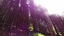 Picture from track Route no. 22: Velká Úpa – Výsluní – Janovy Boudy