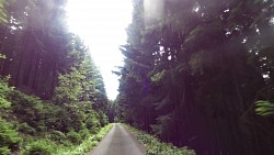 Picture from track Route no. 22: Velká Úpa – Výsluní – Janovy Boudy