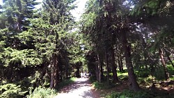 Picture from track Janovy boudy – Cottage Růžohorky – Růžová hora