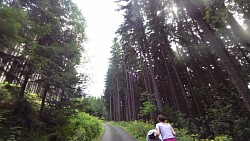 Obrázok z trasy Na bicykli z Veľkej Úpy cez Pec, Janovy Búdy a Spálený Mlyn späť do Veľkej Úpy