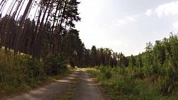 Picture from track Cycle route Jihlava - Třebíč - Raabs, section Třebíč - Raabs