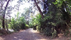 Picture from track Cycle route Jihlava - Třebíč - Raabs, section Třebíč - Raabs