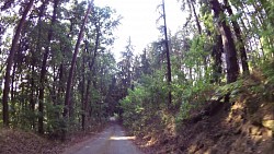 Picture from track Cycle route Jihlava - Třebíč - Raabs, section Třebíč - Raabs