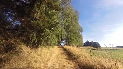 Picture from track In the footsteps of Police Modrava II. - Circuit for cyclists