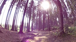 Picture from track educational trail from the forest to the Valley of Doubrava