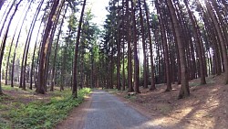 Picture from track educational trail from the forest to the Valley of Doubrava