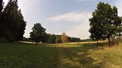 Picture from track educational trail from the forest to the Valley of Doubrava