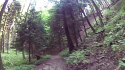 Picture from track educational trail from the forest to the Valley of Doubrava