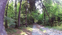 Picture from track educational trail from the forest to the Valley of Doubrava