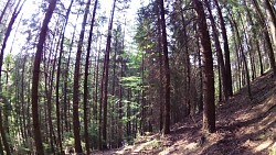 Picture from track educational trail from the forest to the Valley of Doubrava