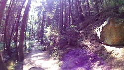 Picture from track educational trail from the forest to the Valley of Doubrava