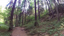 Picture from track educational trail from the forest to the Valley of Doubrava