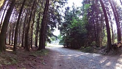 Picture from track educational trail from the forest to the Valley of Doubrava